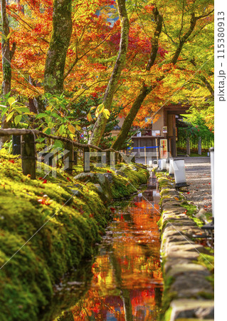 秋の京都 宝厳院 紅葉のトンネルと玄関門 秋の京都 宝厳院 紅葉のトンネルと玄関門 115380913