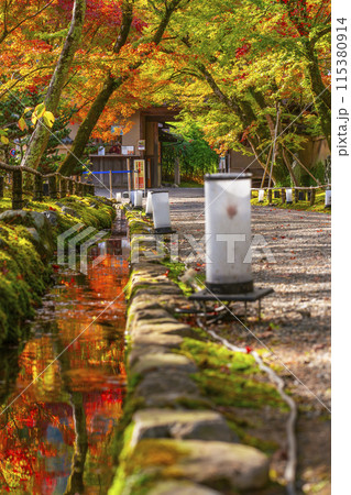 秋の京都 宝厳院 紅葉のトンネルと玄関門 秋の京都 宝厳院 紅葉のトンネルと玄関門 115380914