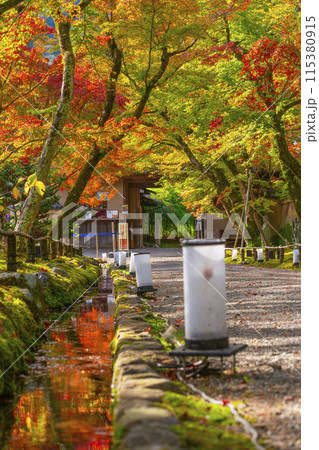秋の京都　宝厳院　紅葉のトンネルと玄関門 115380915