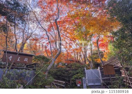 秋の京都 祇王寺へむかう参道と紅葉 秋の京都 祇王寺へむかう参道と紅葉 115380916