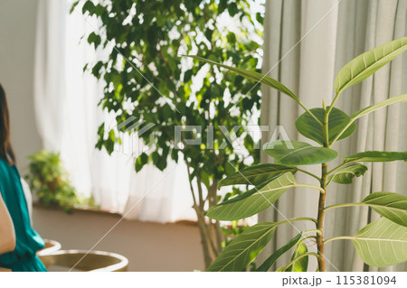 大型観葉植物のあるリビング 大型観葉植物のあるリビング 115381094