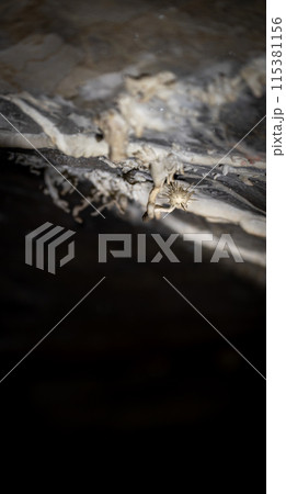 Mysterious Cave Formations in the Depths of Darkness 115381156