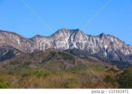 朝の清里高原から望む八ヶ岳連峰 115381471