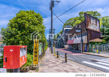 日本の東京都市景観 東急電鉄 多摩川駅(南口)前などを望む 日本の東京都市景観 東急電鉄 多摩川駅(南口)前などを望む 115382052