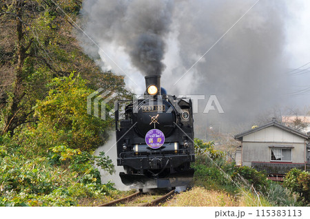 黒煙を上げて疾走する磐越西線SLばんえつ物語 115383113