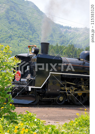黒煙を上げて疾走する磐越西線SLばんえつ物語 115383120