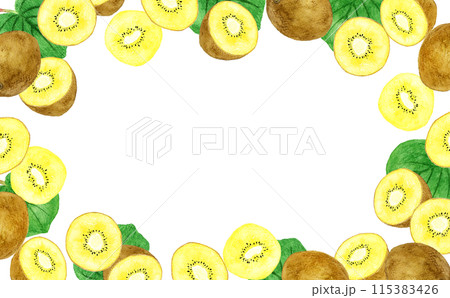 ゴールドキウイのフレーム　果物の手描き水彩イラスト背景素材 115383426