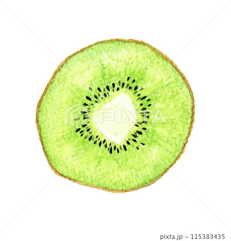 半分にカットしたグリーンキウイ フルーツの手描き水彩イラスト素材 半分にカットしたグリーンキウイ フルーツの手描き水彩イラスト素材 115383435