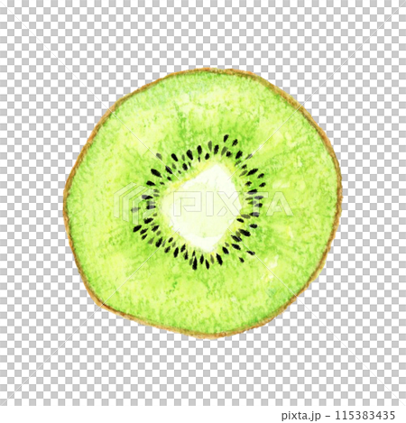 半分にカットしたグリーンキウイ フルーツの手描き水彩イラスト素材 半分にカットしたグリーンキウイ フルーツの手描き水彩イラスト素材 115383435