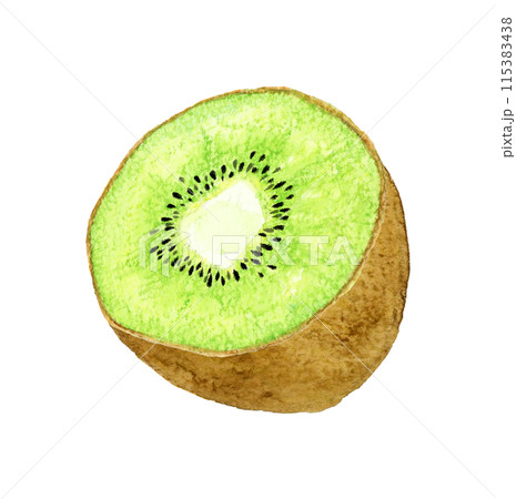 半分にカットしたグリーンキウイ フルーツの手描き水彩イラスト素材の