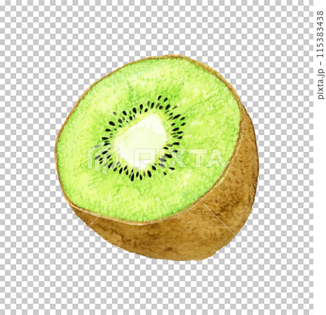 Hand-drawn watercolor illustration of green kiwi fruit cut in half 115383438