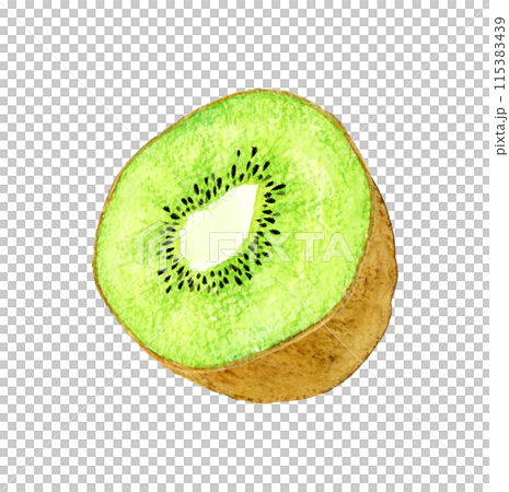 Hand-drawn watercolor illustration of green kiwi fruit cut in half 115383439