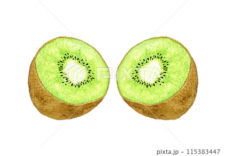 半分にカットしたグリーンキウイ　フルーツの手描き水彩イラスト素材 115383447