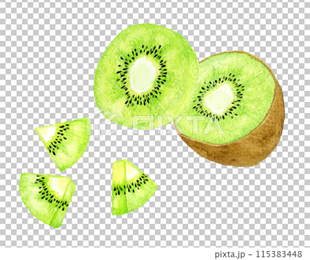 Cut green kiwi fruit hand-drawn watercolor illustration 115383448