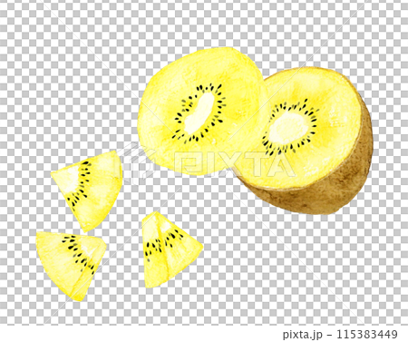 Cut gold kiwi fruit hand-drawn watercolor illustration 115383449