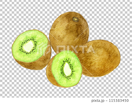 Hand-drawn watercolor illustration of green kiwi fruit cut in half 115383450