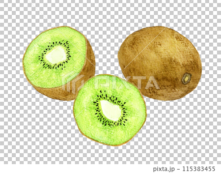 Hand-drawn watercolor illustration of green kiwi fruit cut in half 115383455