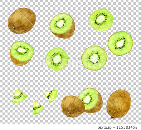 綠色奇異果套裝-手繪水彩水果插畫合輯 115383458