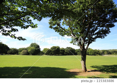 武蔵野の森公園 武蔵野の森公園 115383886