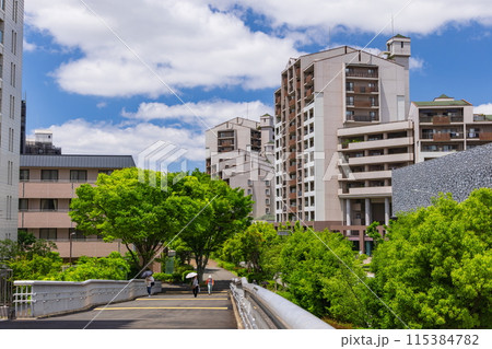 神戸市西区の地下鉄西神中央駅周辺の風景 神戸市西区の地下鉄西神中央駅周辺の風景 115384782