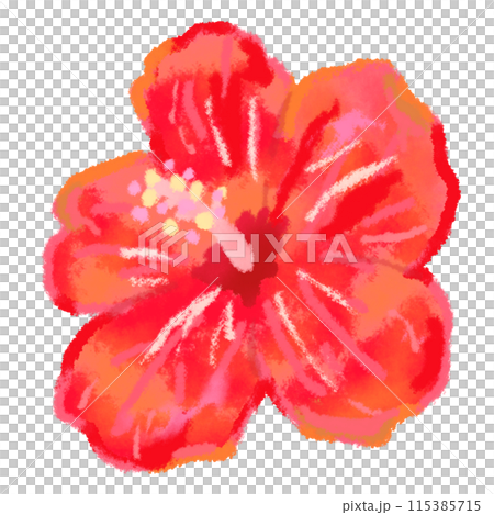 紅色木槿花 115385715