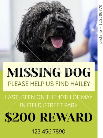 Composition of poster with missing dog text over dog on green background 115386770