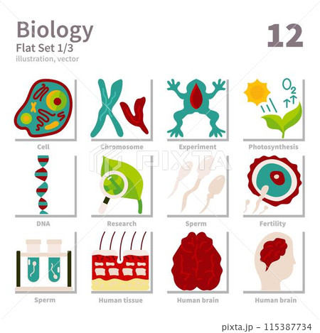Biology icons set, Flat, vector and illustration set 1 115387734