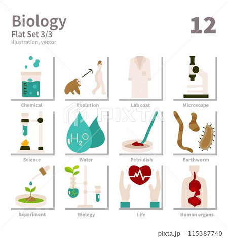 Biology icons set, Flat, vector and illustration set 3 Biology icons set, Flat, vector and illustration set 3 115387740