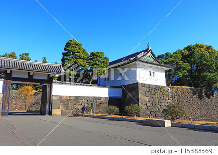 東京都千代田区、桜田門の風景 東京都千代田区、桜田門の風景 115388369