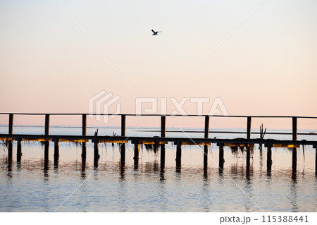 Sunset sea pier with seagull on sky and boat on background, Grado, Italy, Europe Sunset sea pier with seagull on sky and boat on background, Grado, Italy, Europe 115388441