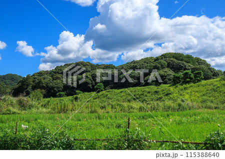 行燈山古墳の景色 115388640