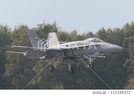 スイス空軍F/A-18Cホーネットの着陸 スイス空軍F/A-18Cホーネットの着陸 115389372