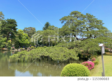 兼六園（石川県金沢市） 115390083
