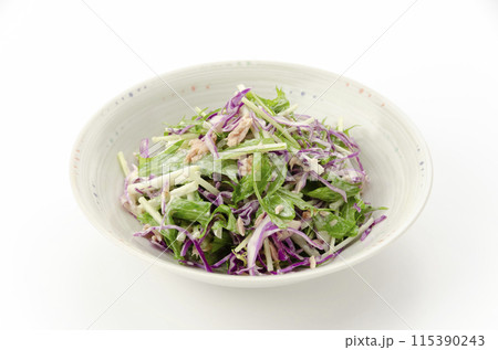 ムラサキキャベツと水菜のサラダ 115390243