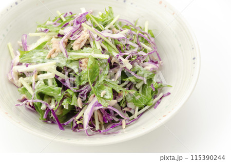 ムラサキキャベツと水菜のサラダ 115390244