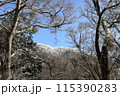金剛山 115390283
