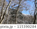 金剛山 115390284