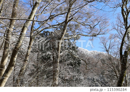 金剛山 金剛山 115390284