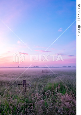 Tranquil sunrise over misty field with serene pastel sky, forming beautiful natural landscape 115390450