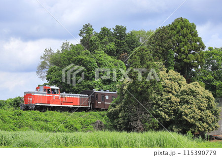 真岡鐵道「椎の木花咲く6月の沿線風景」回送列車背景に 真岡鐵道「椎の木花咲く6月の沿線風景」回送列車背景に 115390779