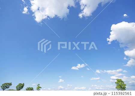 初夏の雲と木立 115392561