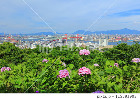 【福岡県】あじさい祭りの若戸大橋と北九州市街 115393905