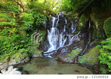 【福岡県】新緑の白糸の滝 115393918