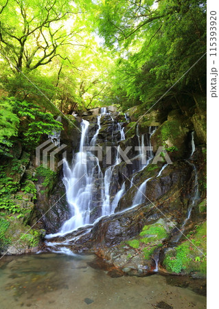 【福岡県】新緑の白糸の滝 【福岡県】新緑の白糸の滝 115393920