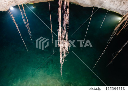 amazing natural pool of clear waters of Cenote Santa Barbara, in Homun, Mexico amazing natural pool of clear waters of Cenote Santa Barbara, in Homun, Mexico 115394518