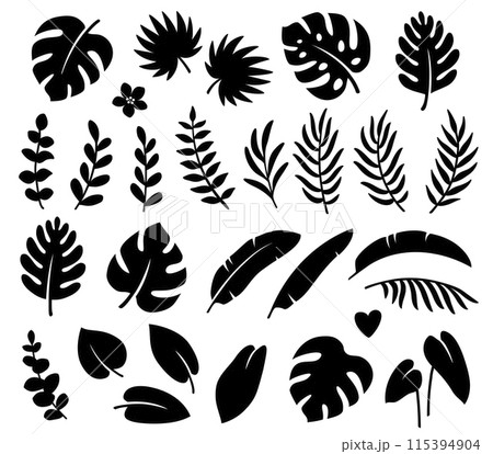 black tropical leaves branches summer set black tropical leaves branches summer set 115394904