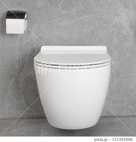 Modern Wall-Mounted Toilet with Toilet Paper Modern Wall-Mounted Toilet with Toilet Paper 115395006