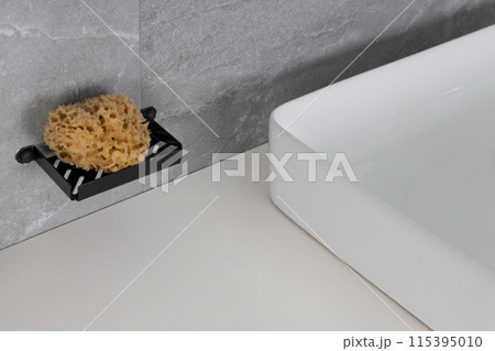 Sponge Holder with Natural Sponge 115395010