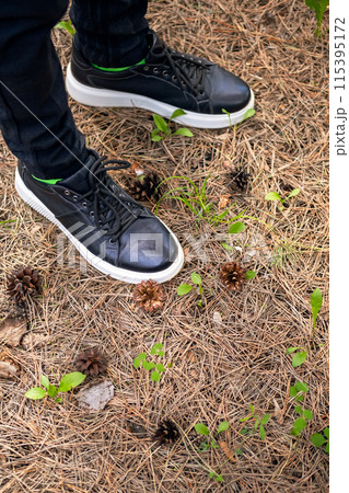Cropped person in black boots walking in pine forest. Cropped person in black boots walking in pine forest. 115395172
