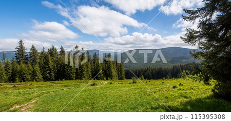 Fabulous and mysterious path in the forest. Location place of Carpathians mountain, Ukraine, Europe. Fabulous and mysterious path in the forest. Location place of Carpathians mountain, Ukraine, Europe. 115395308